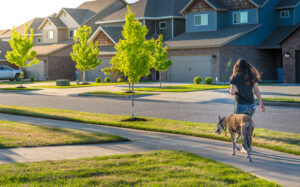 Meridian Ranch Homes